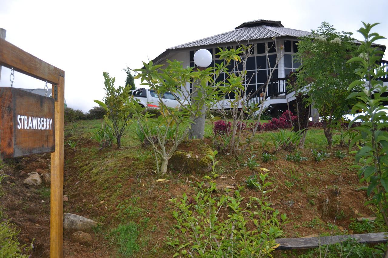 Mesilau Mountain Retreats Holiday home *