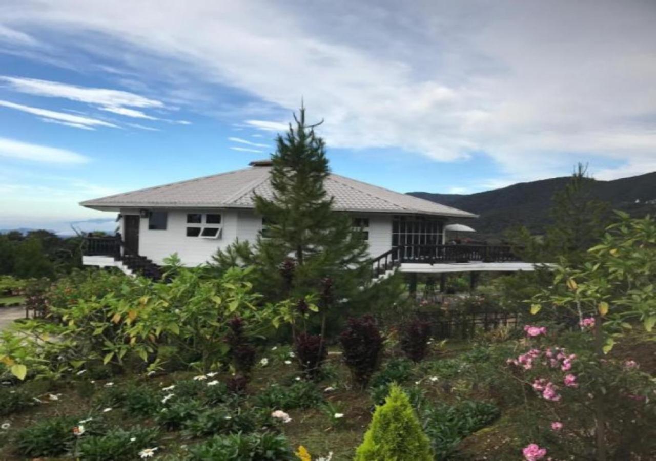 Mesilau Mountain Retreats *